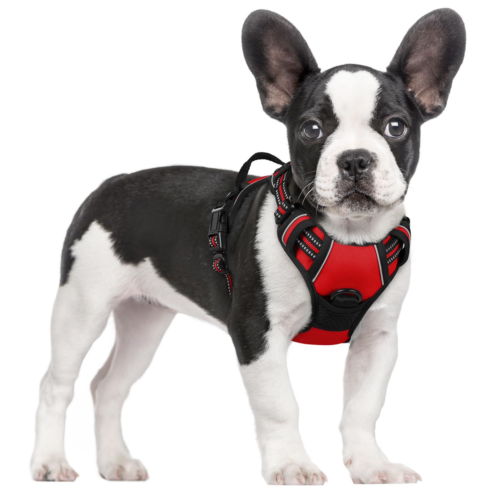 Reflective No Pull Dog Harness with Handle