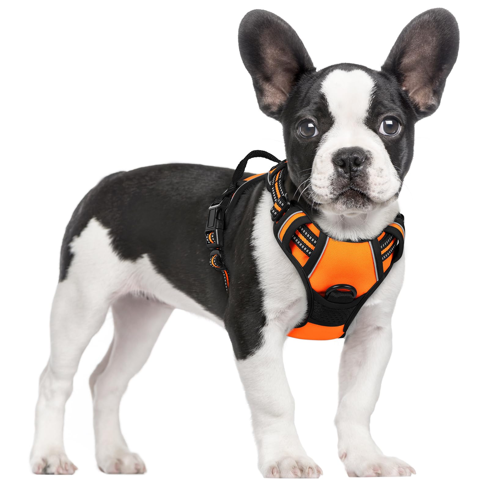 Reflective No Pull Dog Harness with Handle