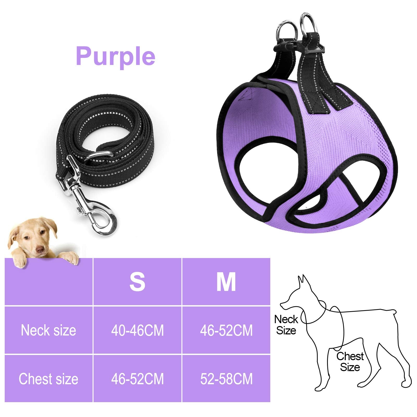 Breathable No Pull Dog Harness with Leash