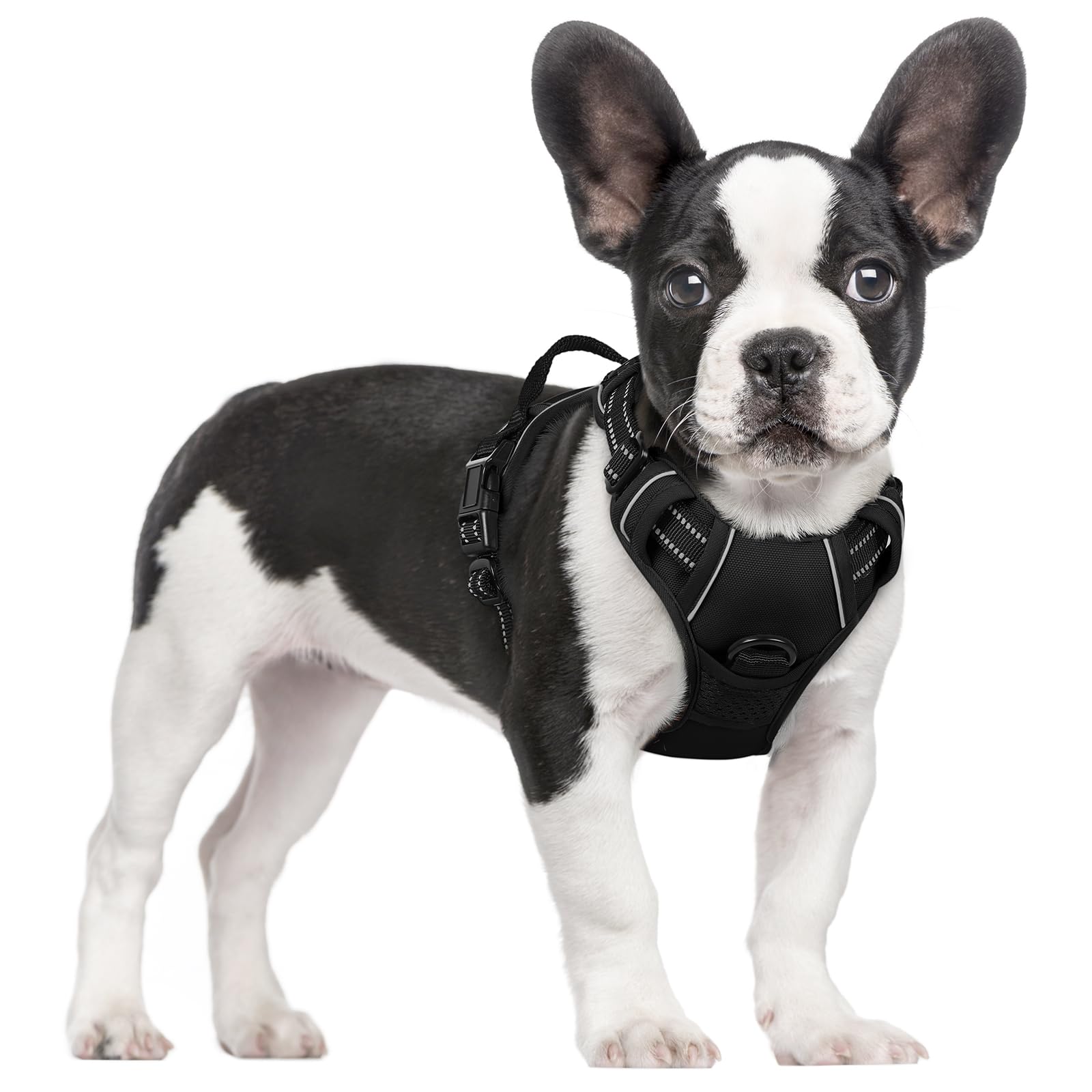 Reflective No Pull Dog Harness with Handle