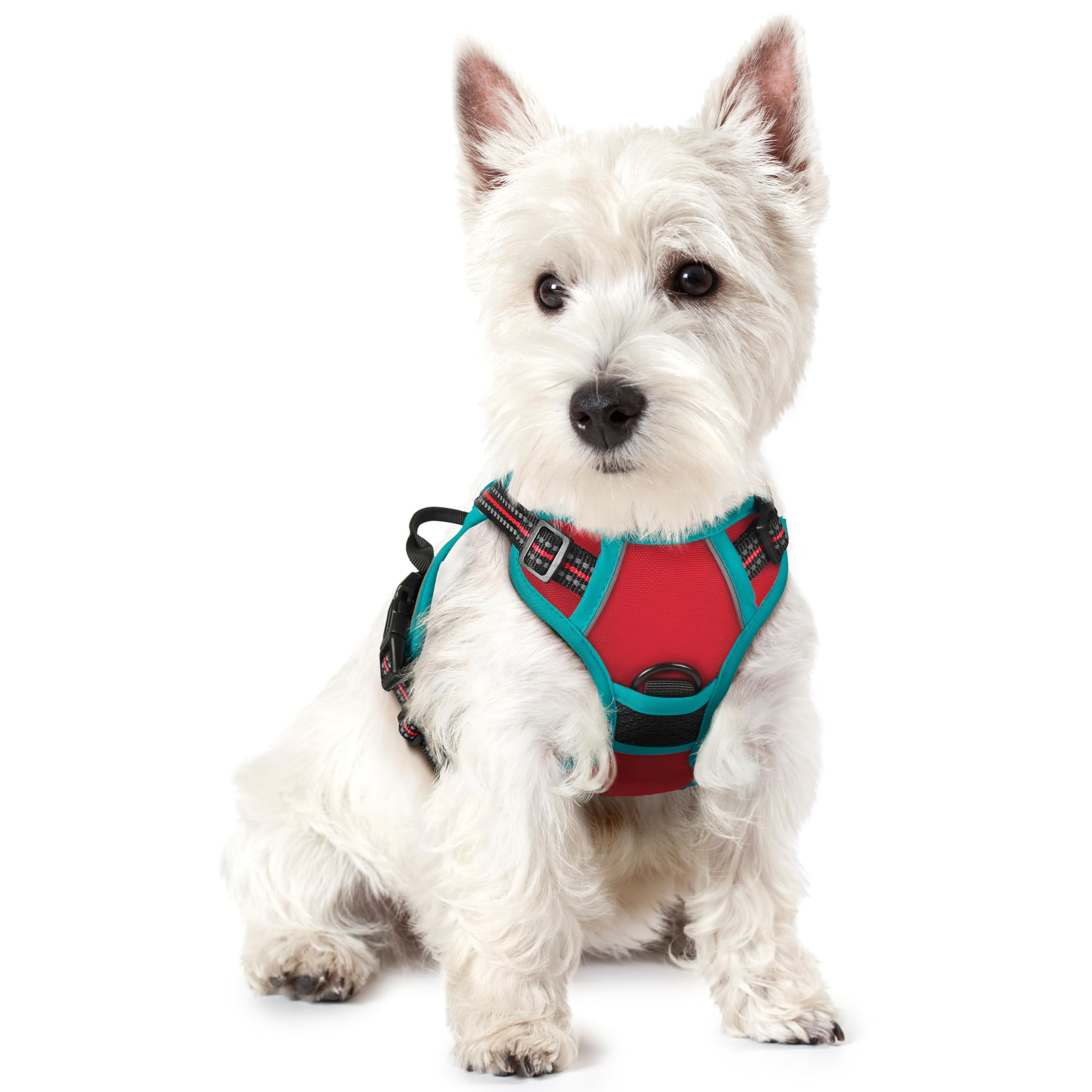 Reflective No Pull Dog Harness with Handle