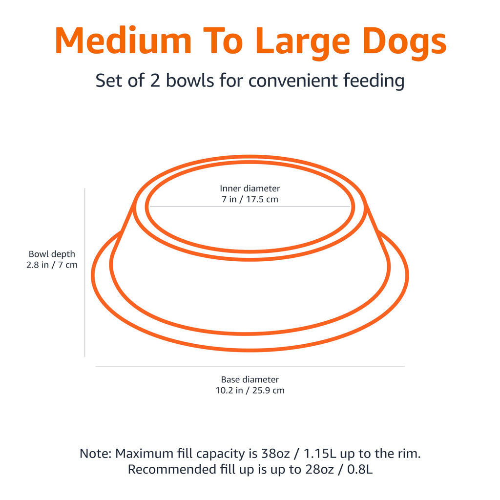 Non-Skid Stainless Steel Pet Feeding Bowl