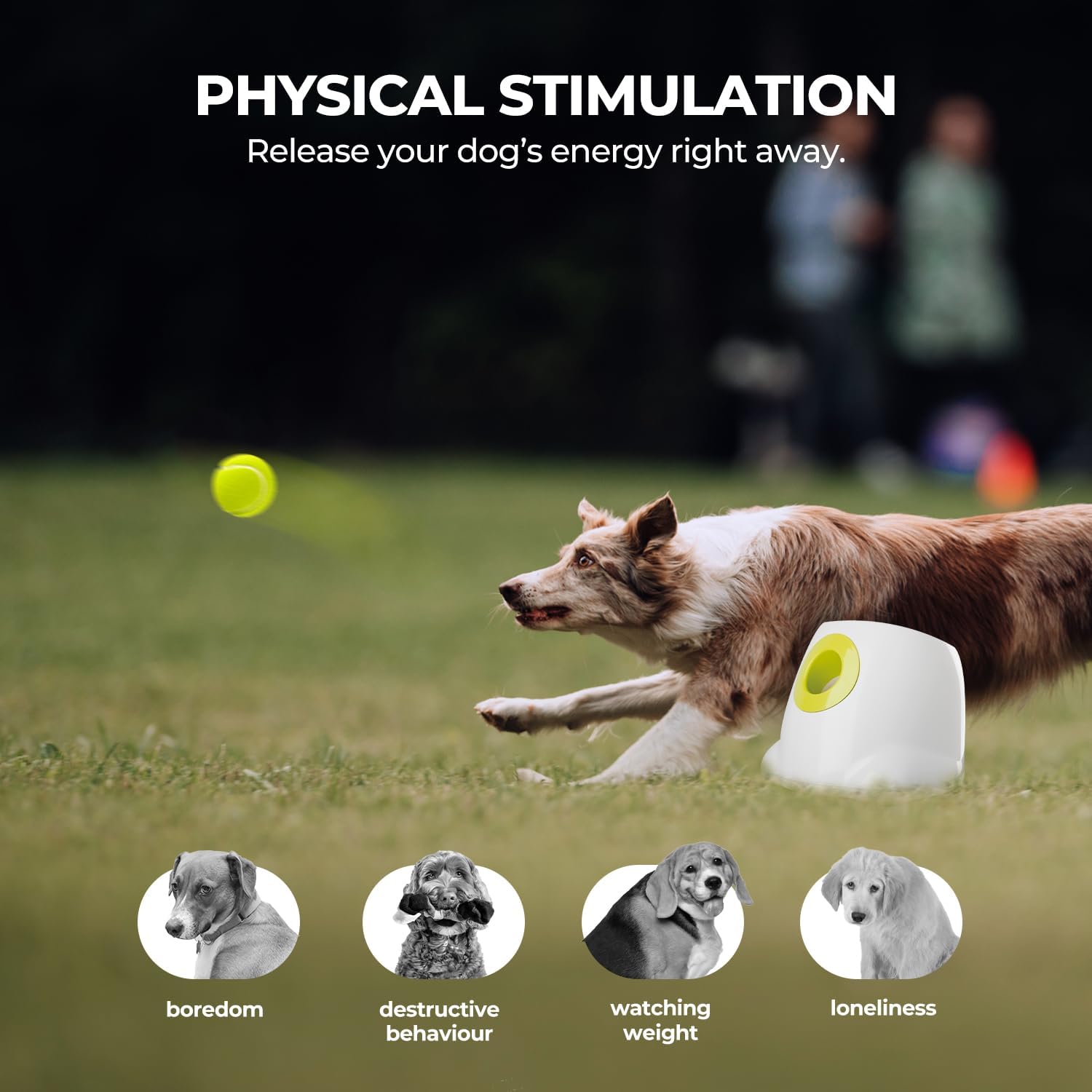 Automatic Dog Ball Launcher with Tennis Balls