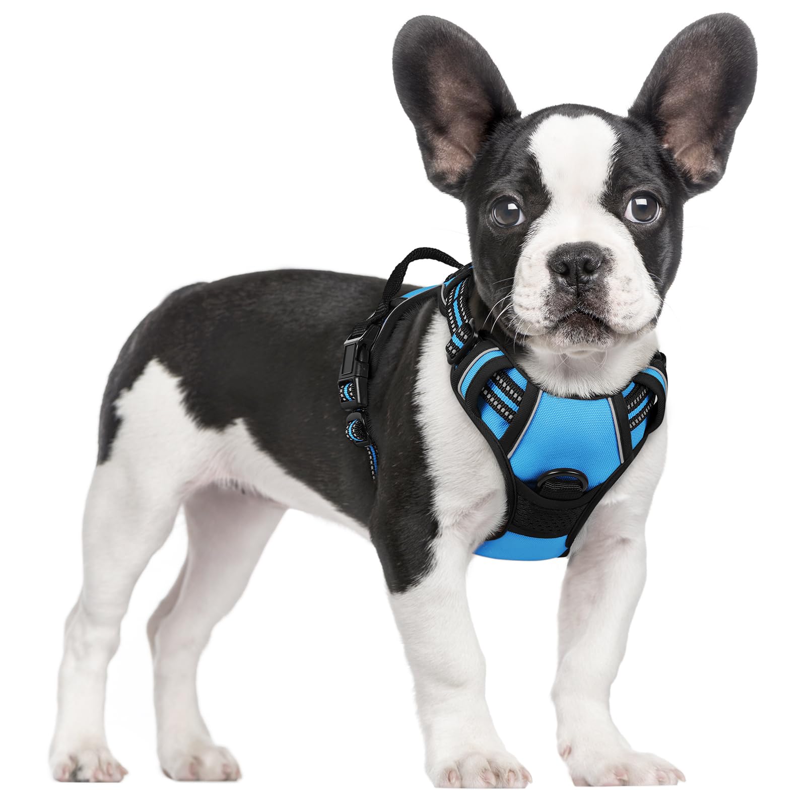 Reflective No Pull Dog Harness with Handle