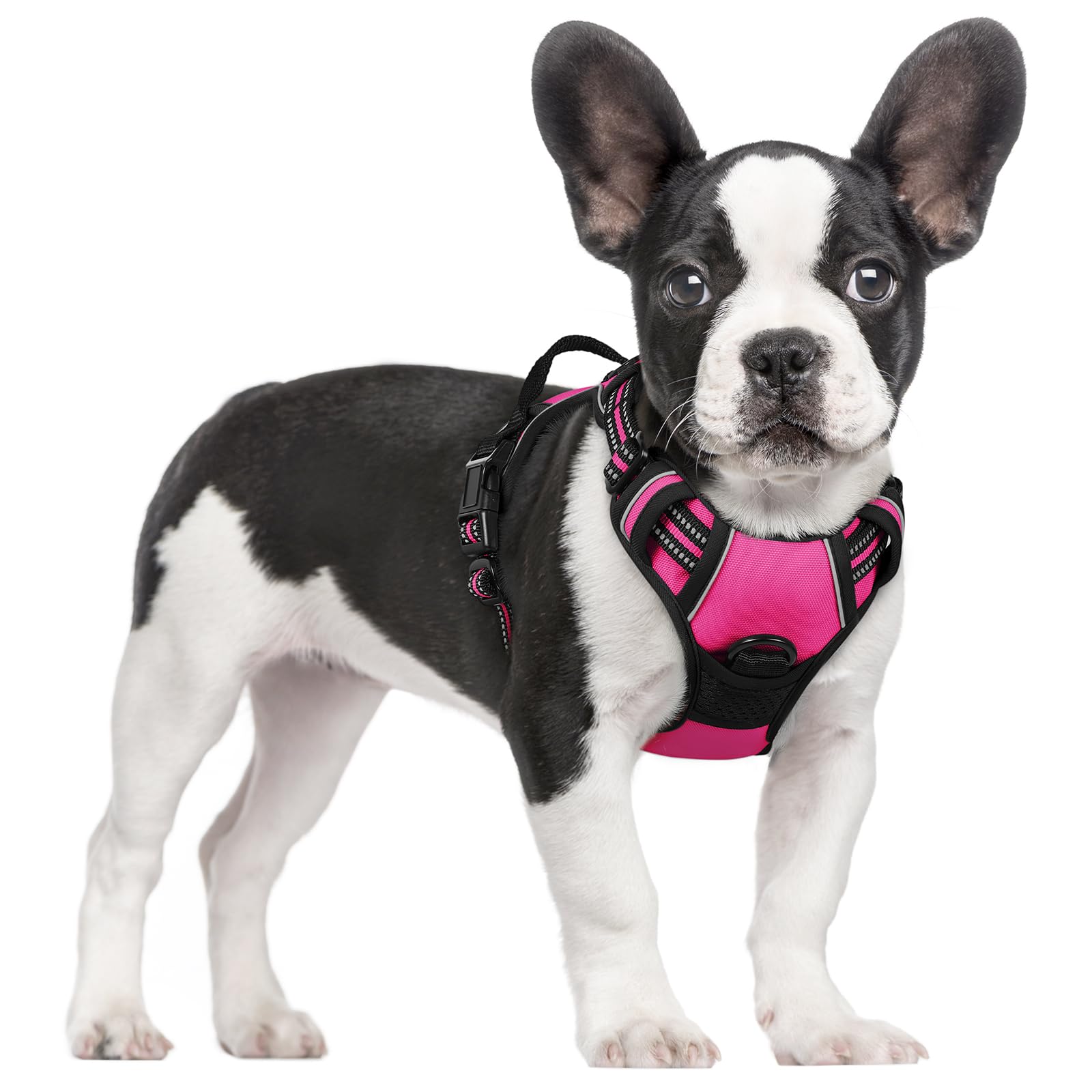 Reflective No Pull Dog Harness with Handle
