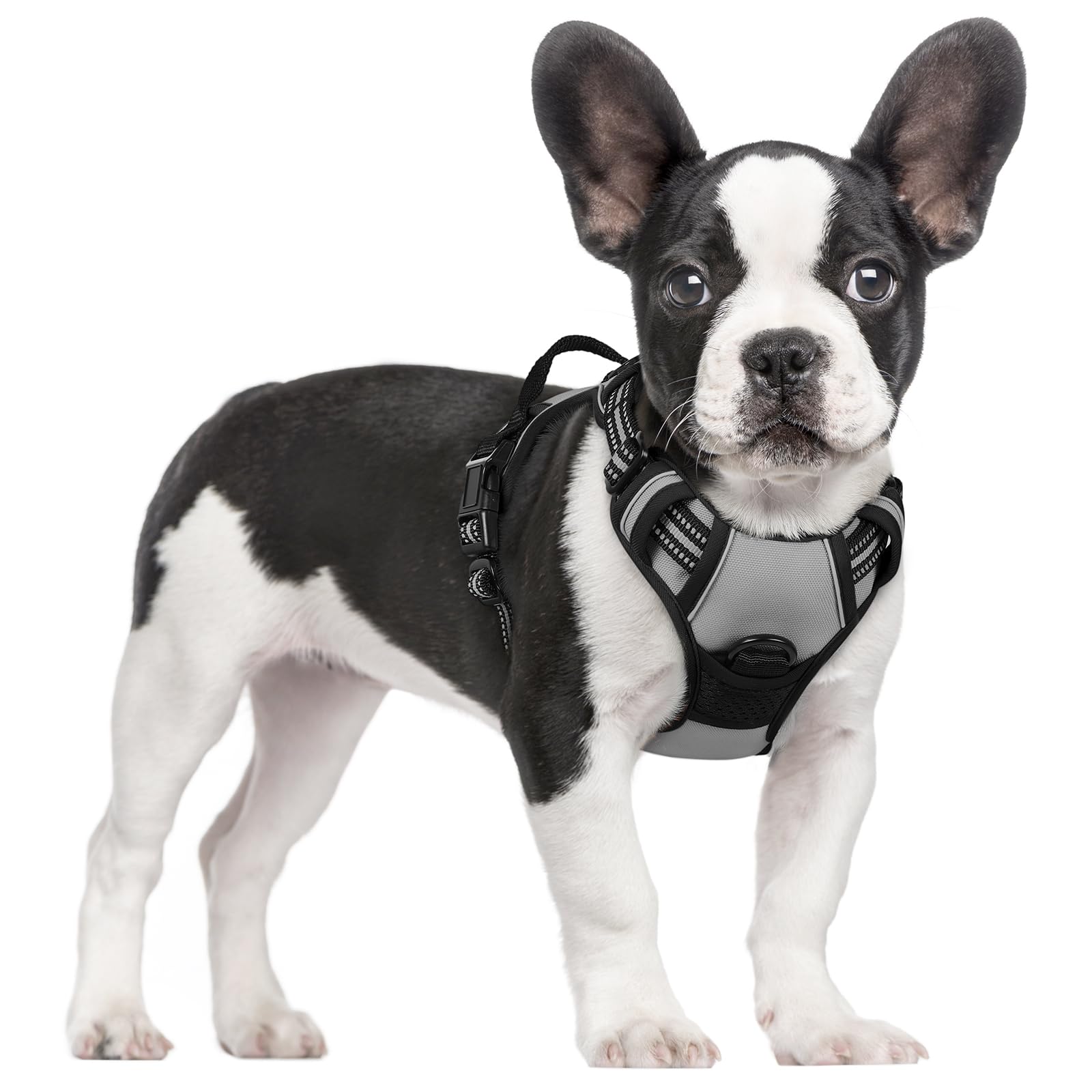 Reflective No Pull Dog Harness with Handle