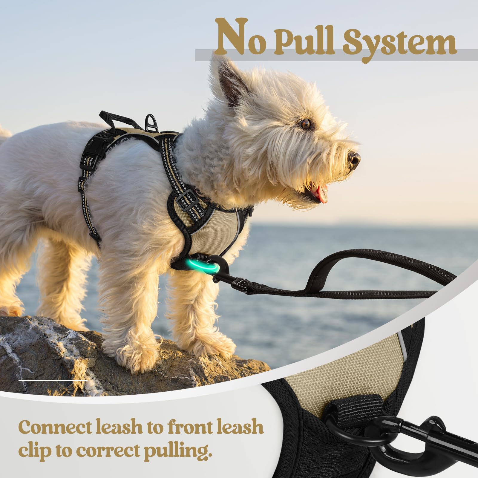 Reflective No Pull Dog Harness with Handle