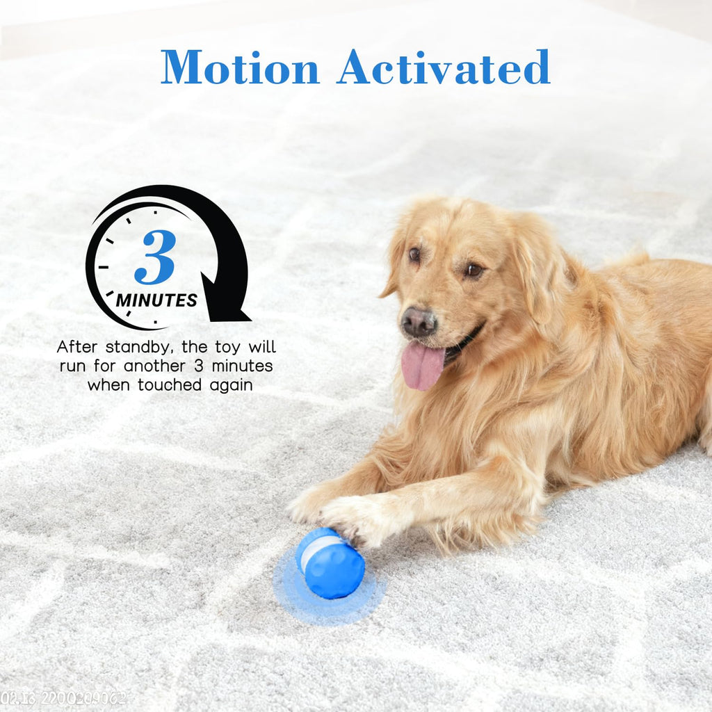 Interactive Rolling Dog Ball for Active Play