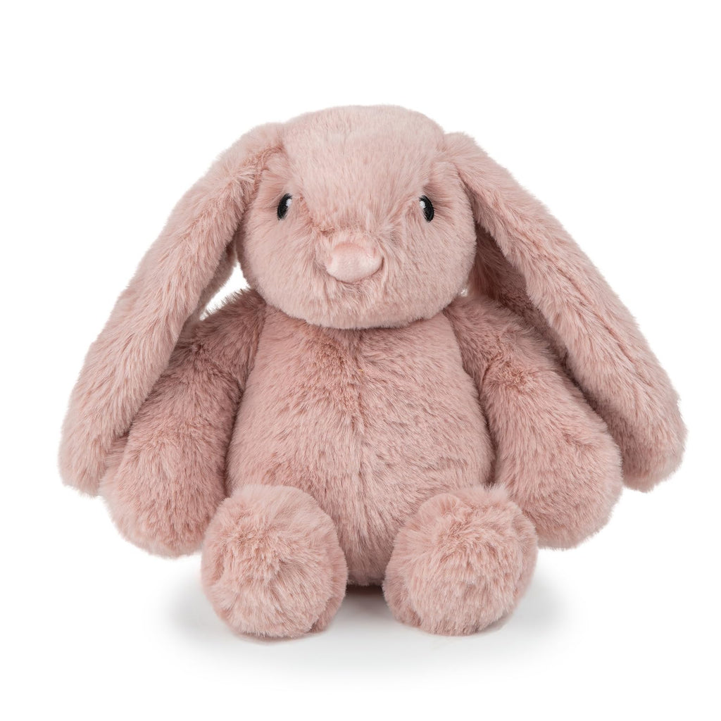 Interactive Squeaky Dog Toy for Active Chewers