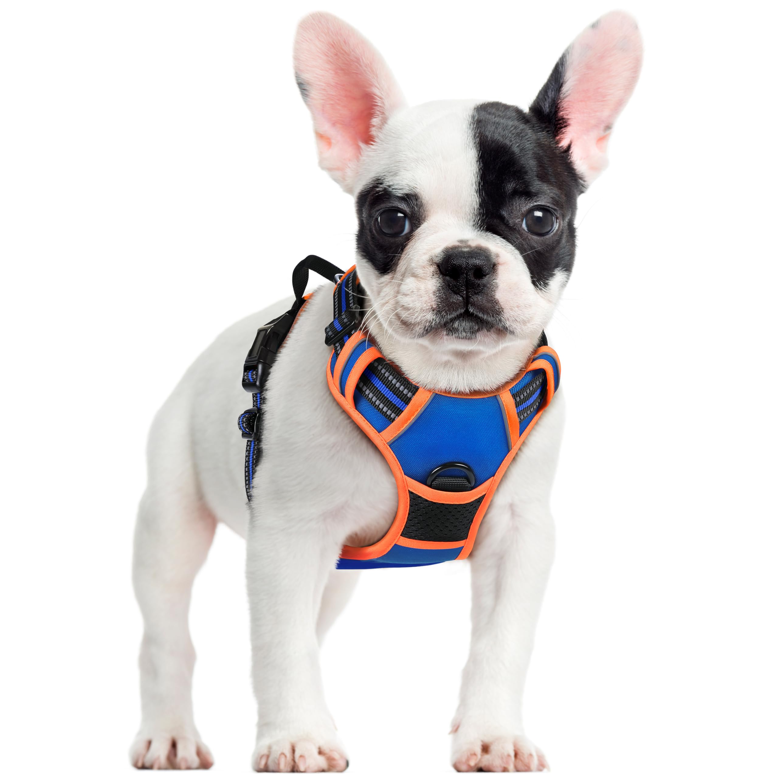 Reflective No Pull Dog Harness with Handle