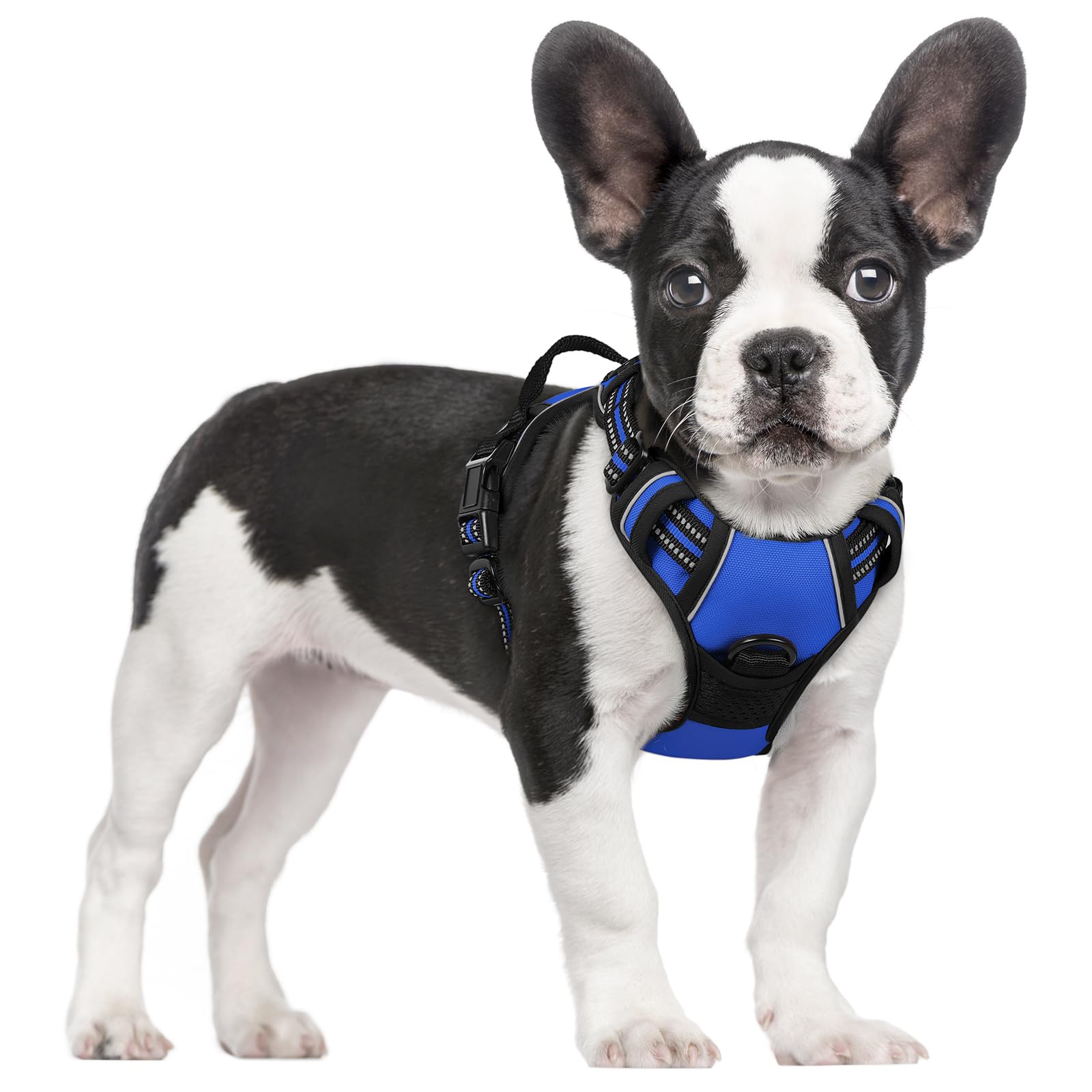 Reflective No Pull Dog Harness with Handle