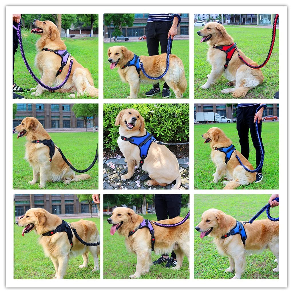 Adjustable Dog Harness and Leash Set
