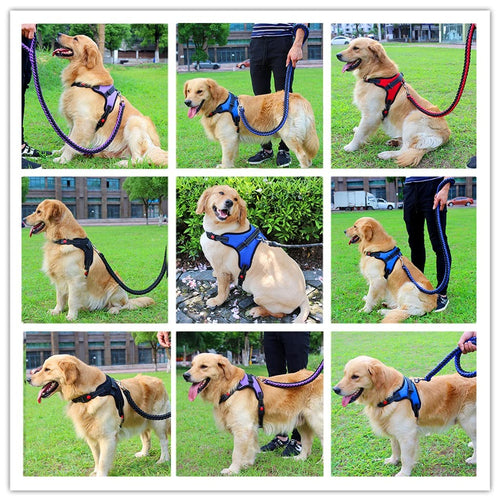 Adjustable Dog Harness and Leash Set