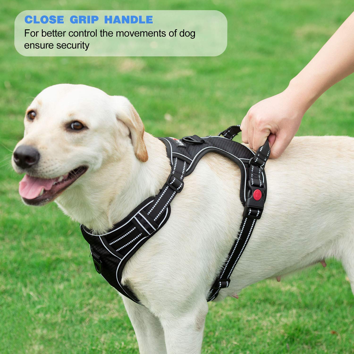 Reflective No Pull Dog Harness with Leash