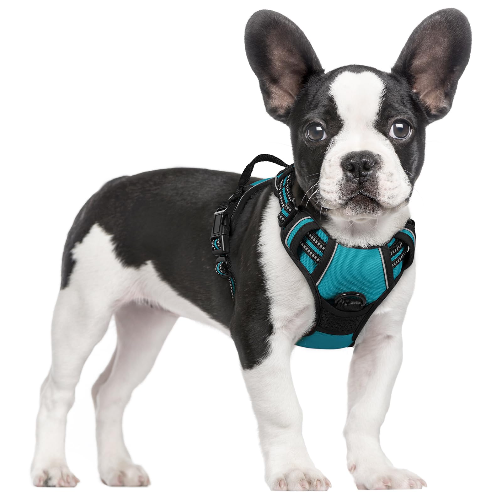 Reflective No Pull Dog Harness with Handle