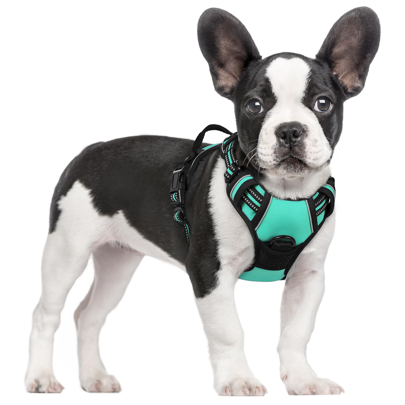 Reflective No Pull Dog Harness with Handle
