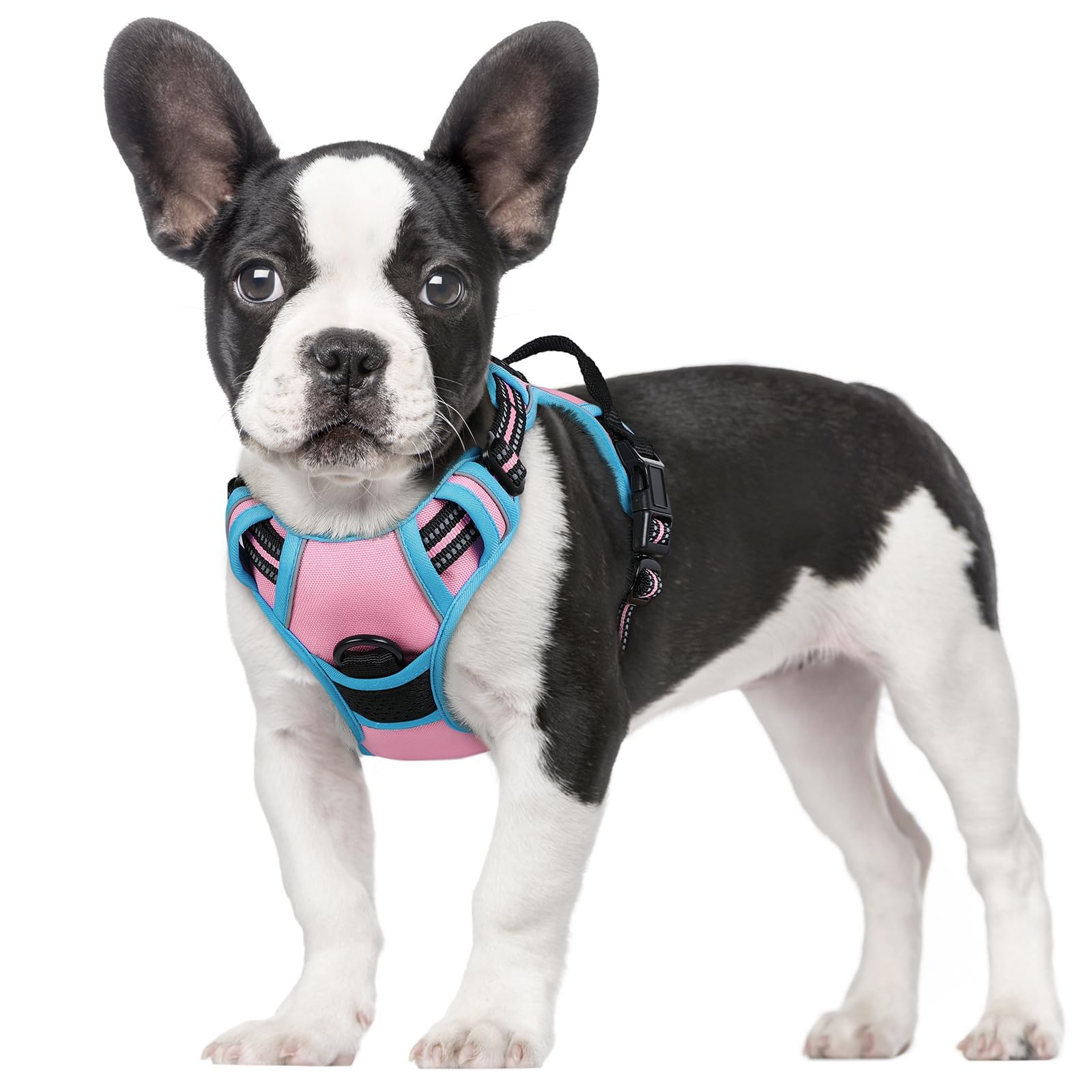 Reflective No Pull Dog Harness with Handle