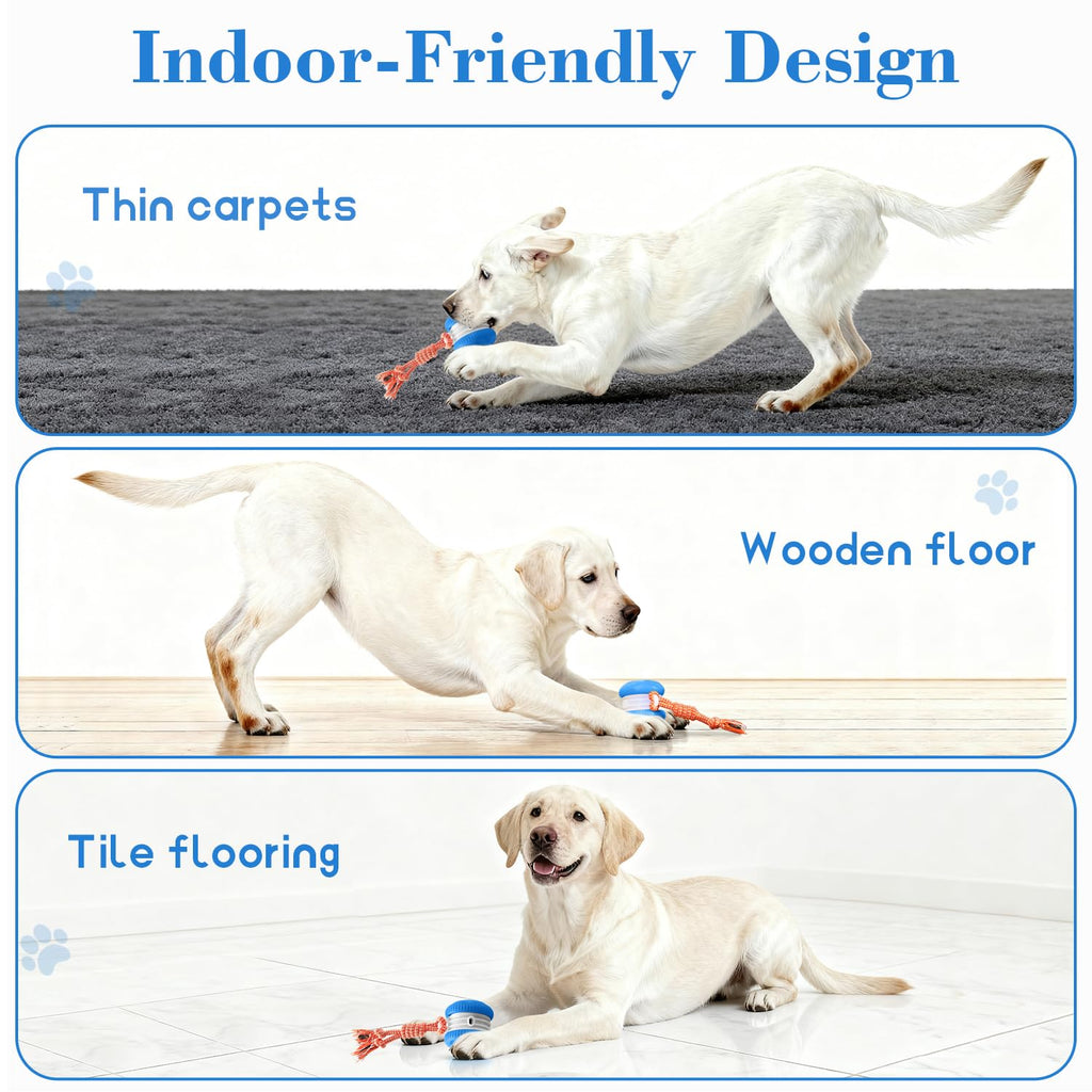 Interactive Rolling Dog Ball for Active Play