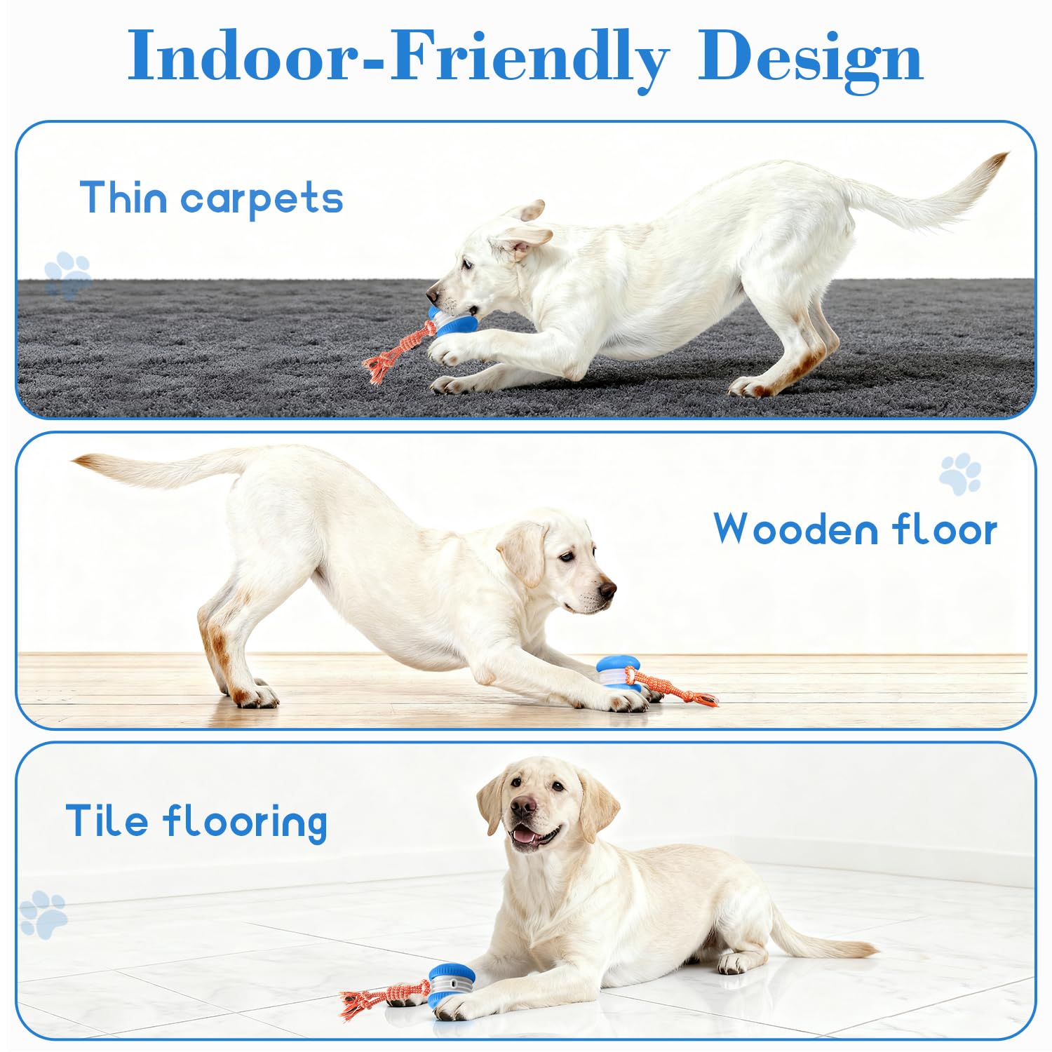Interactive Rolling Dog Ball for Active Play