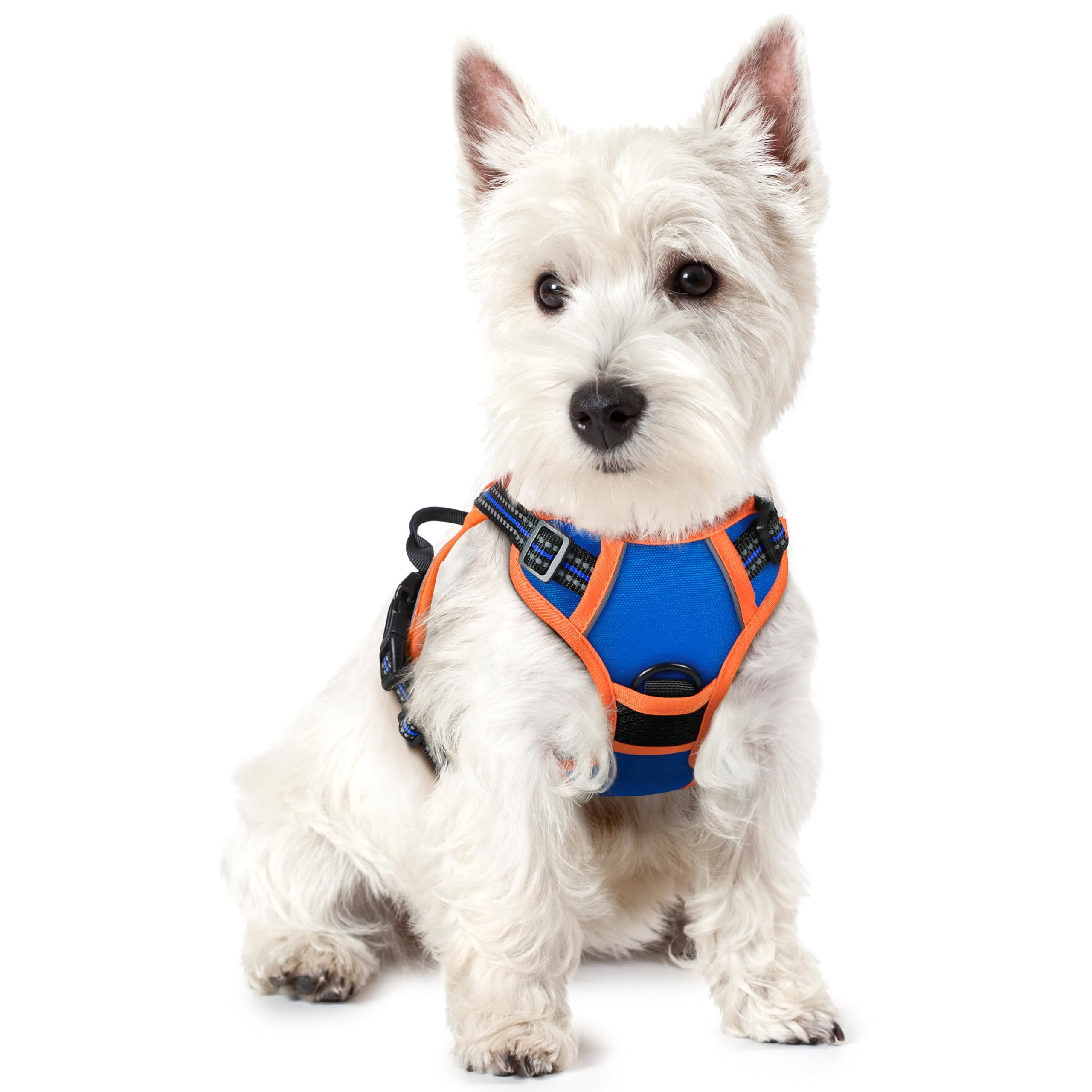Reflective No Pull Dog Harness with Handle