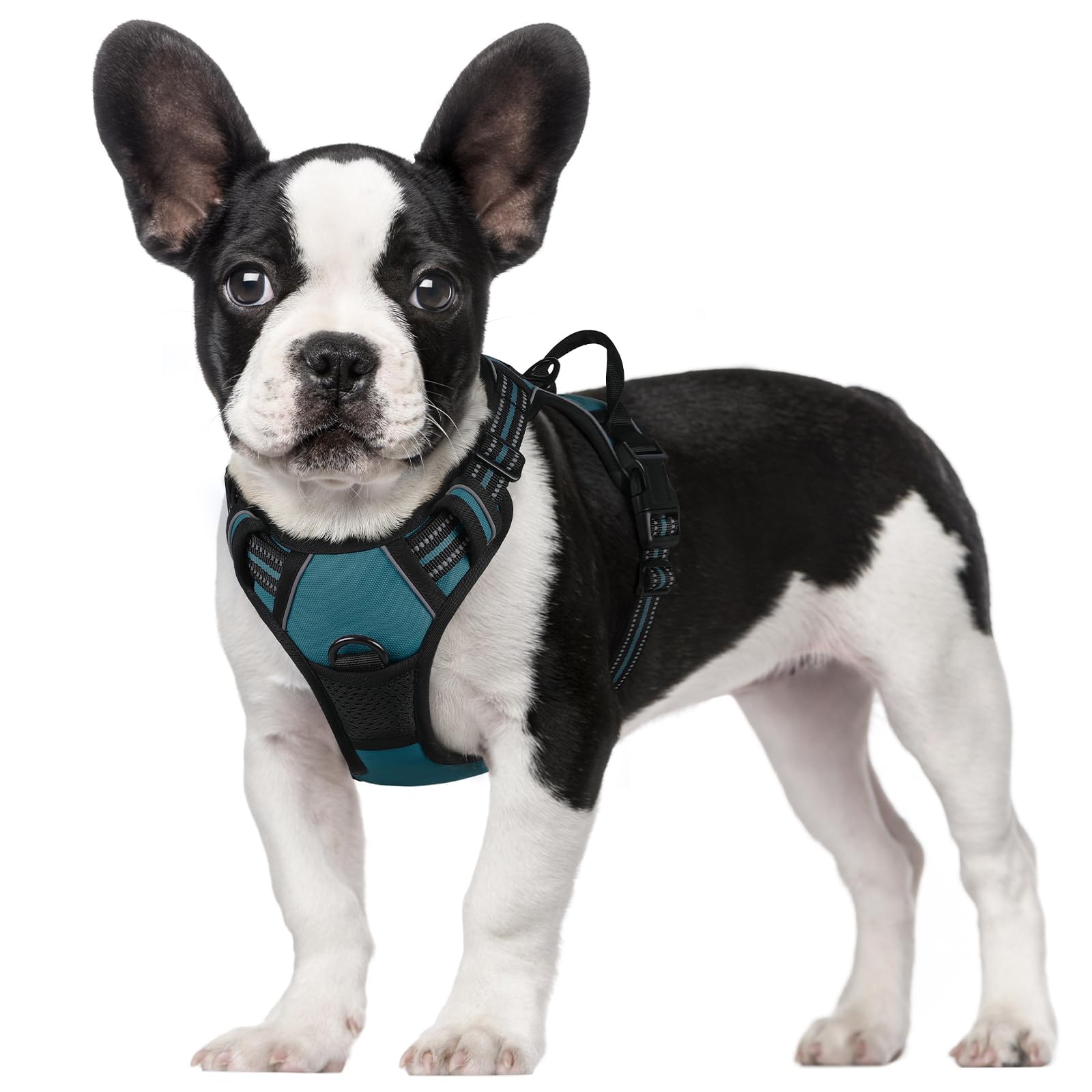 Reflective No Pull Dog Harness with Handle