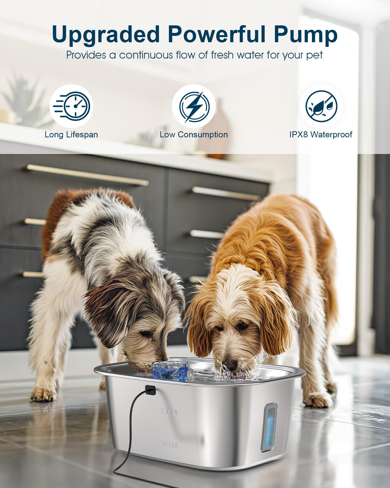 Large Stainless Steel Dog Water Fountain