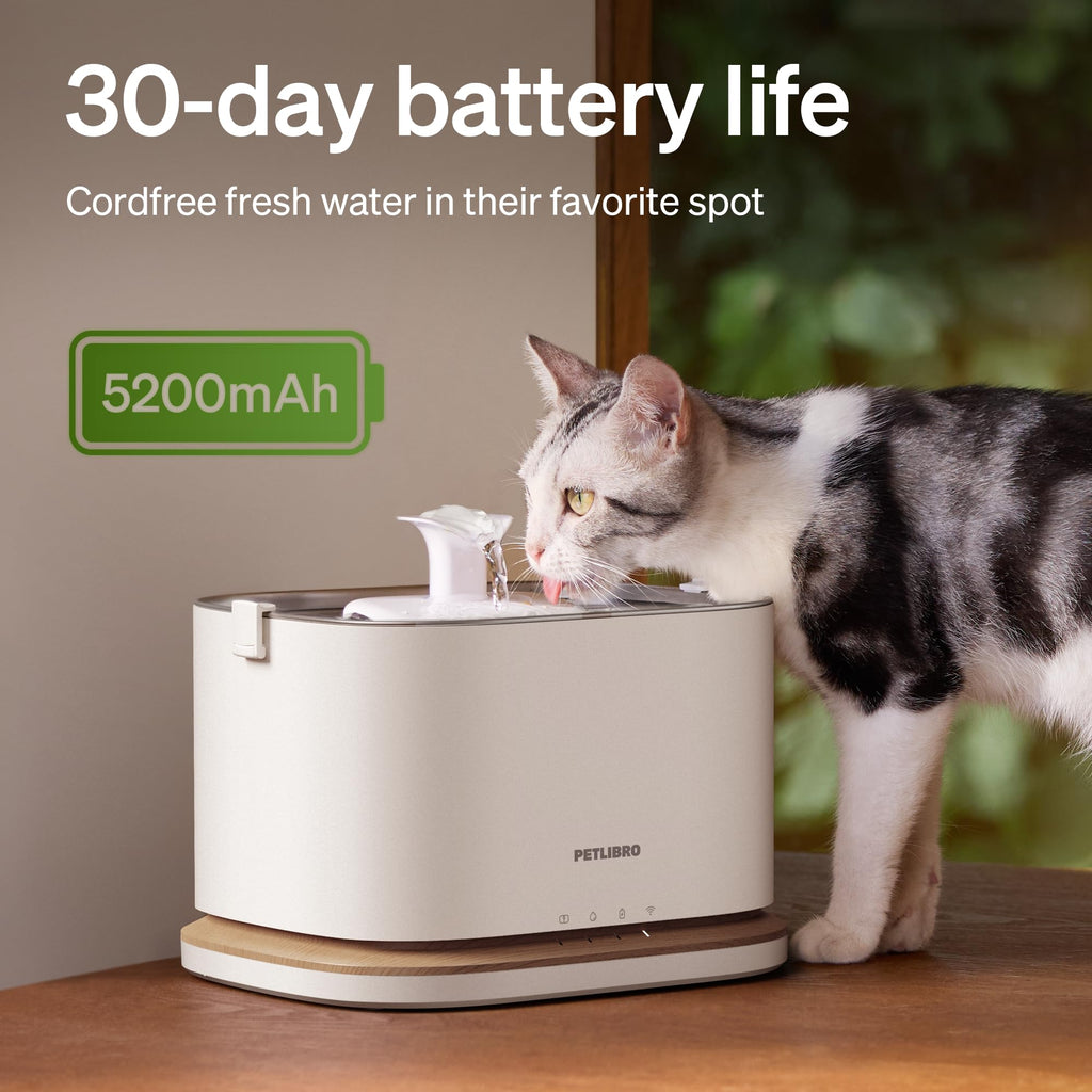 Cordless Smart Pet Water Fountain with App