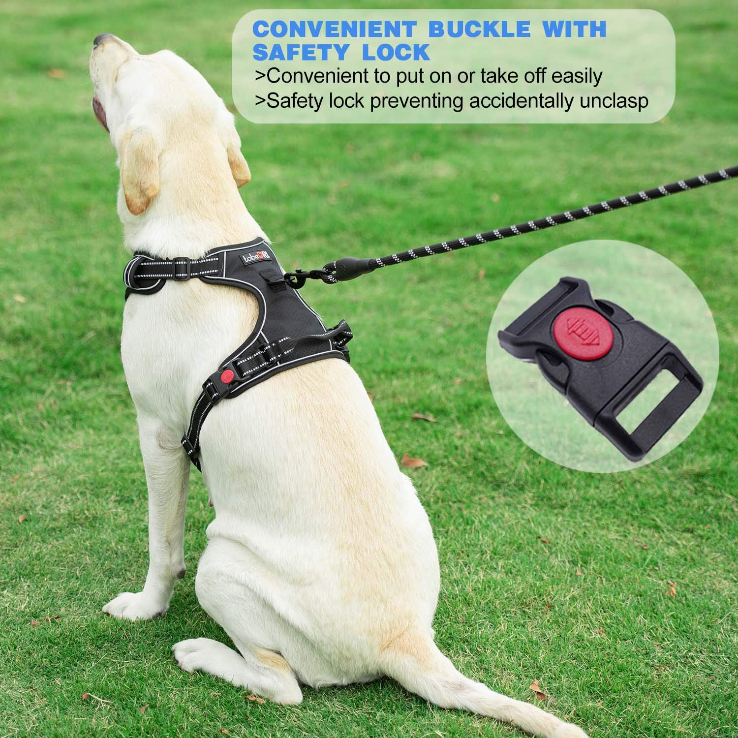 Reflective No Pull Dog Harness with Leash