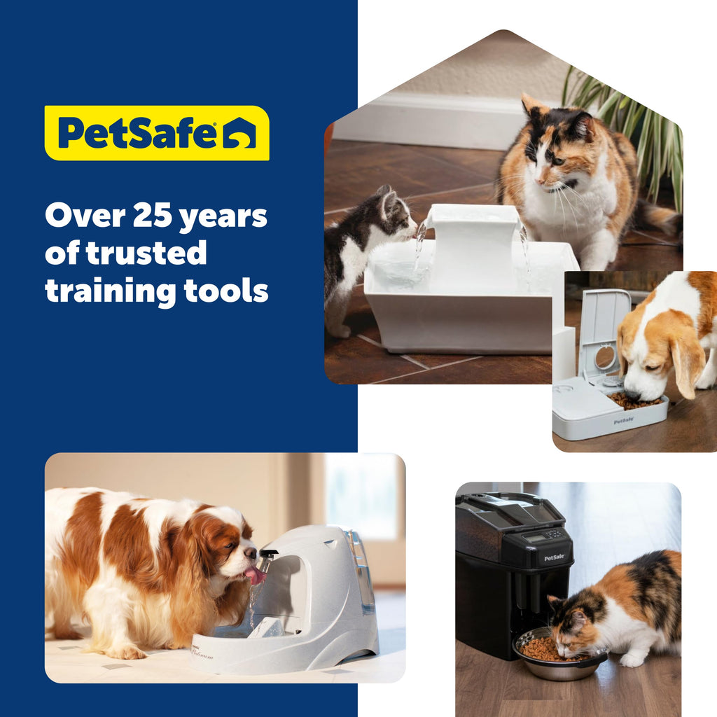 Automatic Pet Water Fountain with Carbon Filter