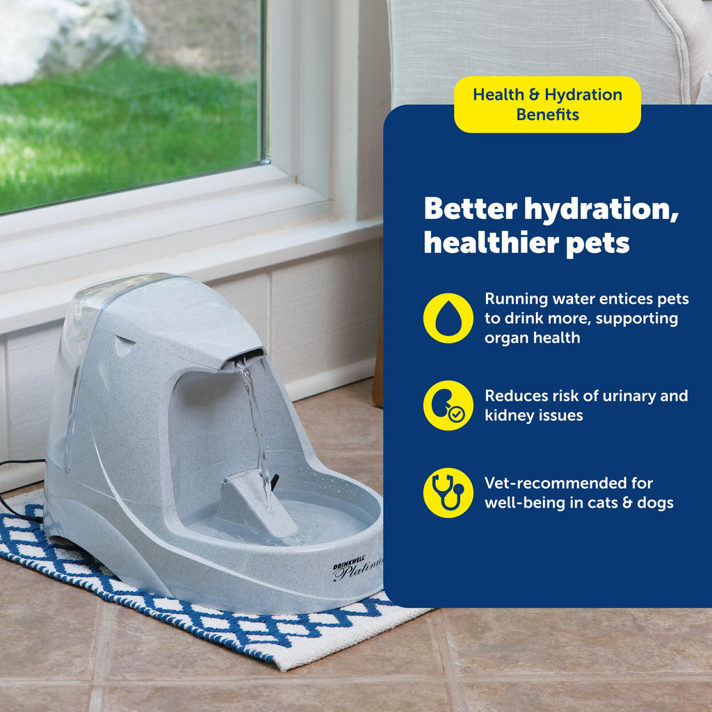 Automatic Pet Water Fountain with Carbon Filter