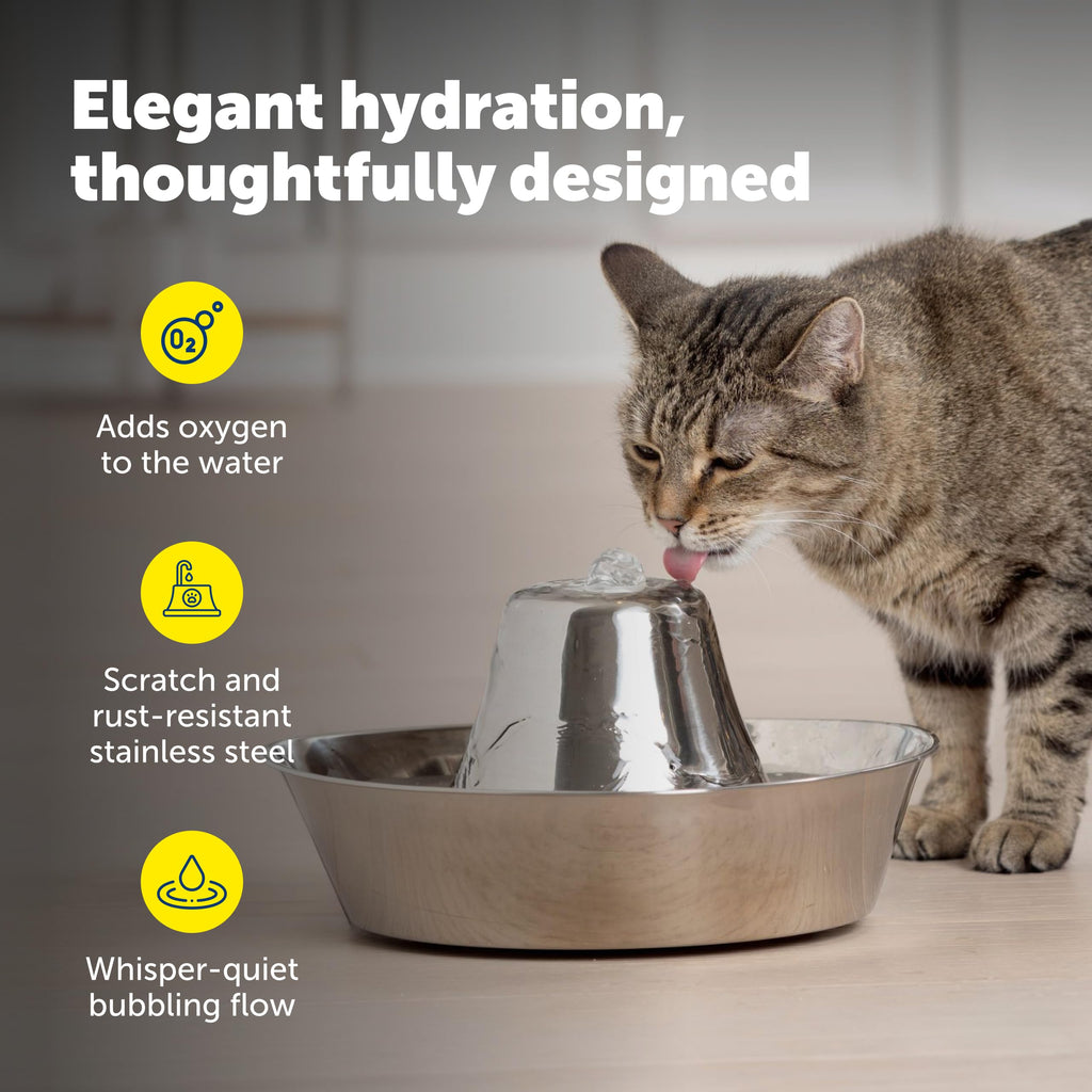 PetSafe Animal Water Dispenser