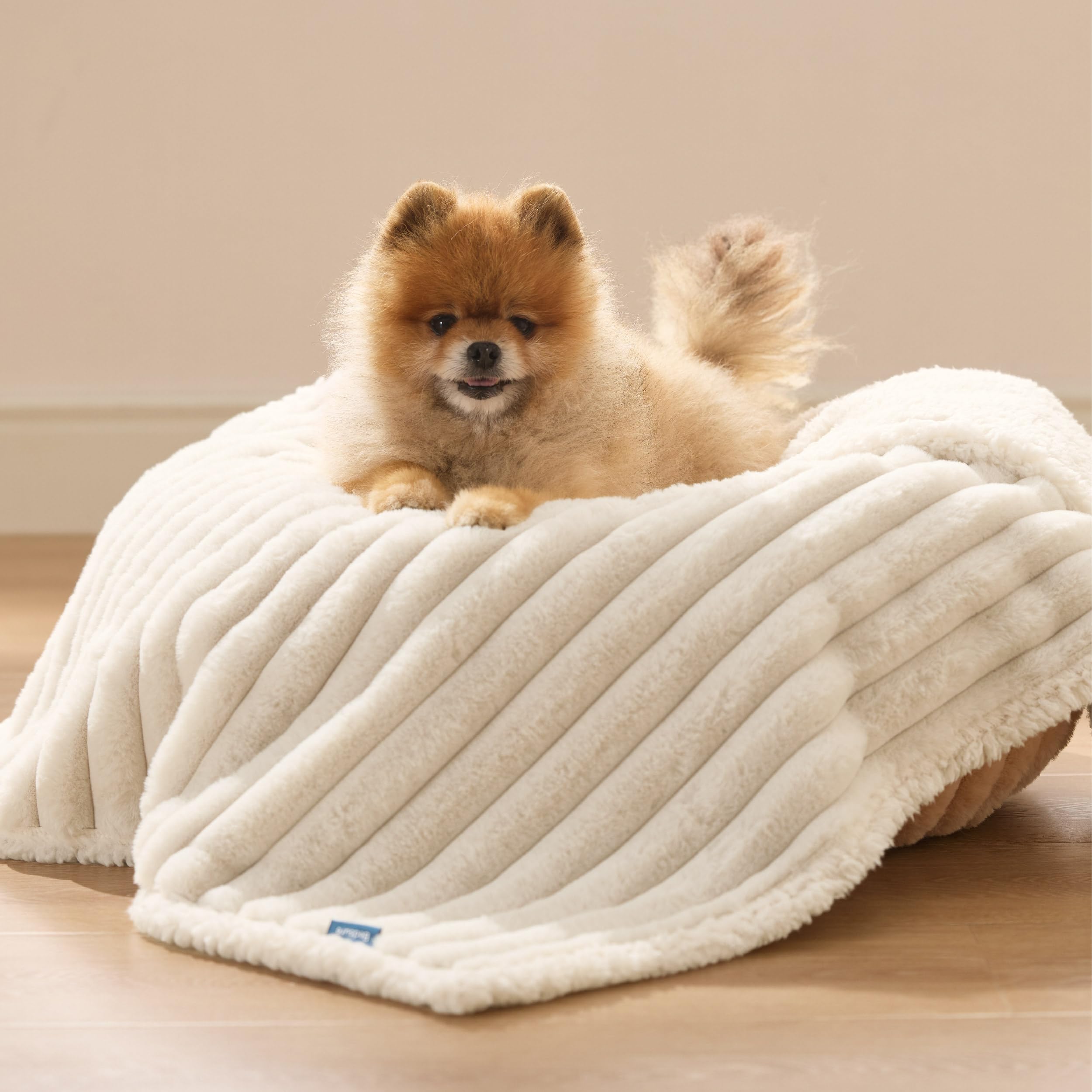 Waterproof Fleece Pet Blanket for Dogs and Cats