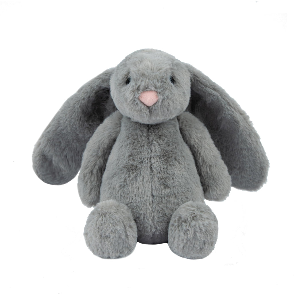 Interactive Squeaky Dog Toy for Active Chewers