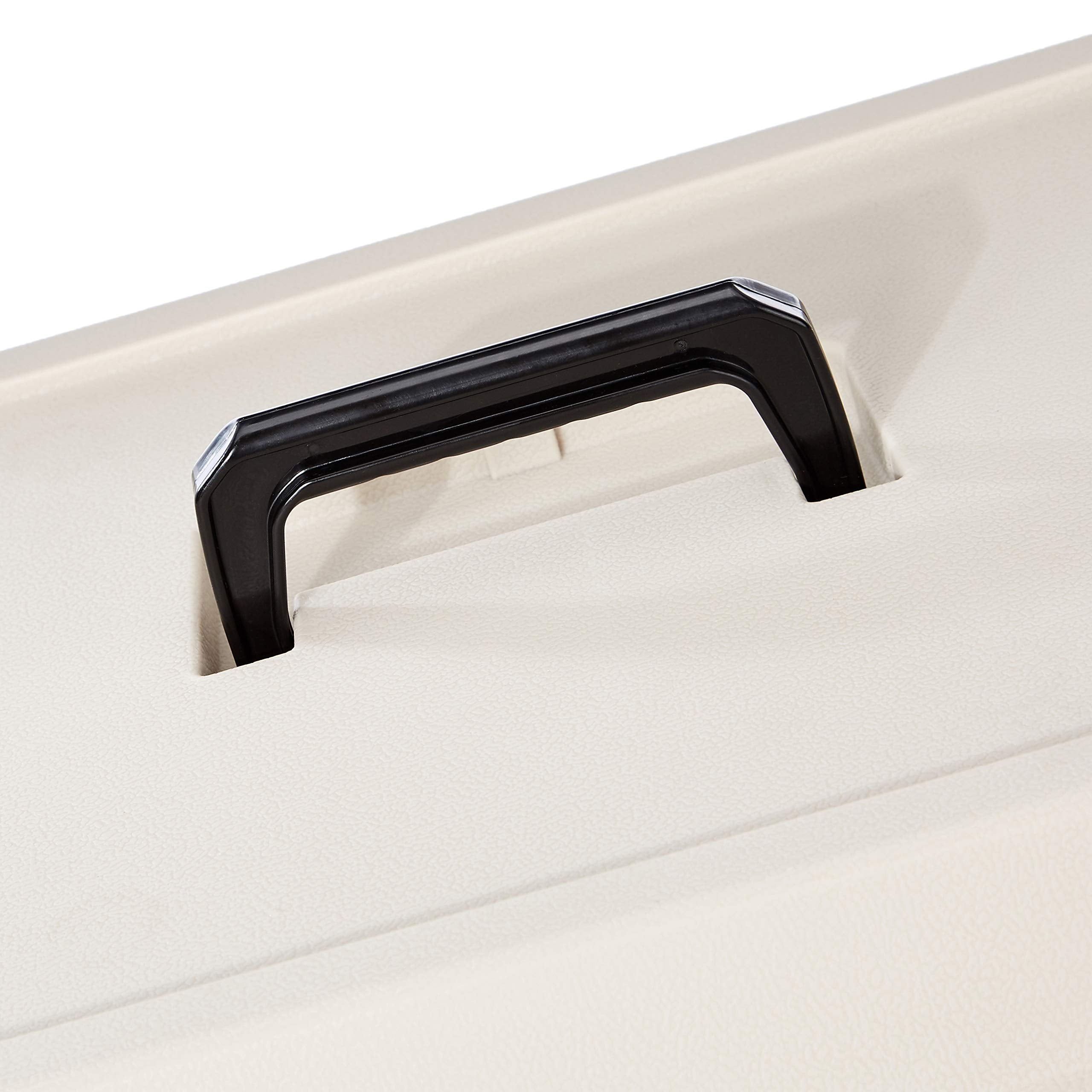 Durable Plastic Pet Carrier with Buckle Door