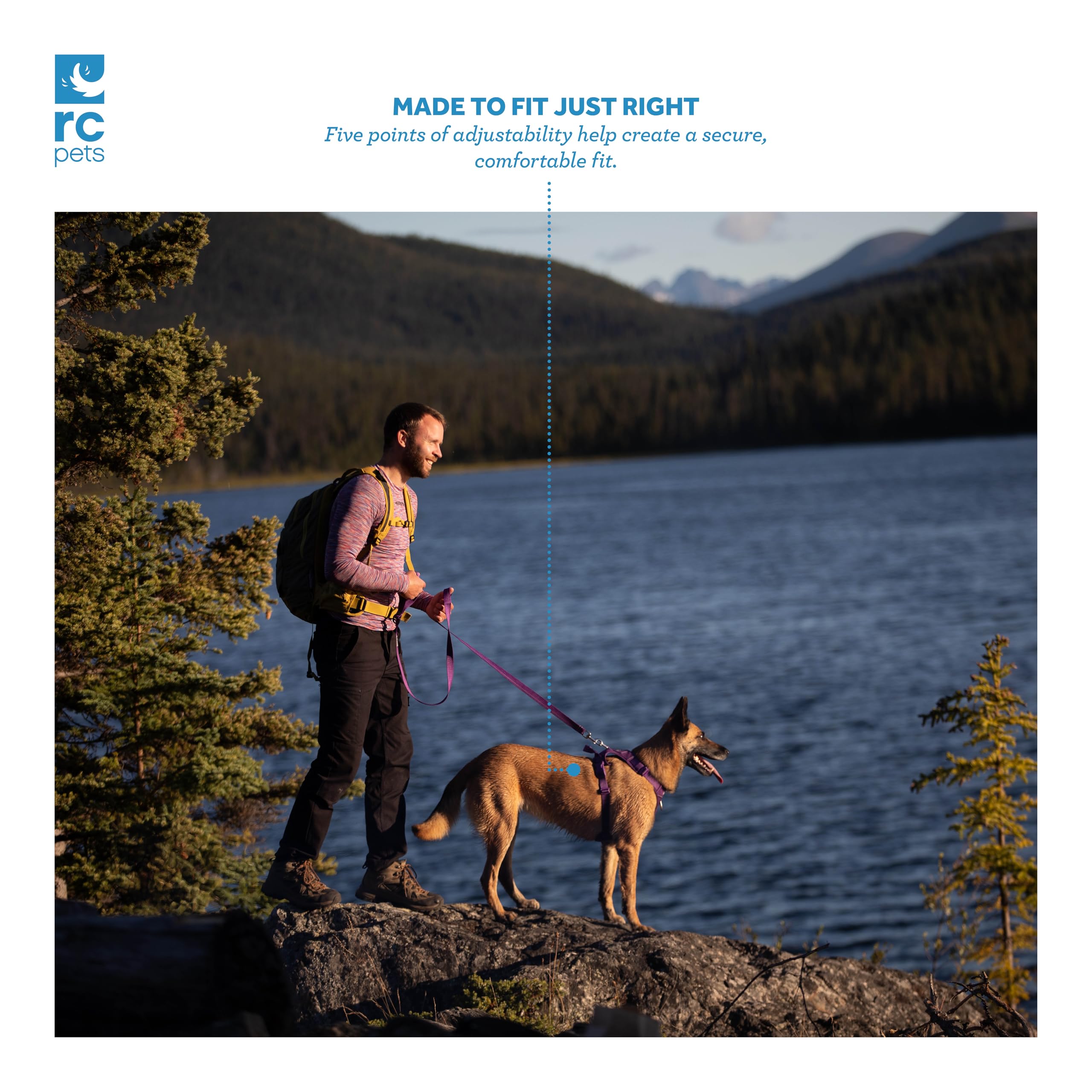 RC Pet Products Momentum Dog Harness