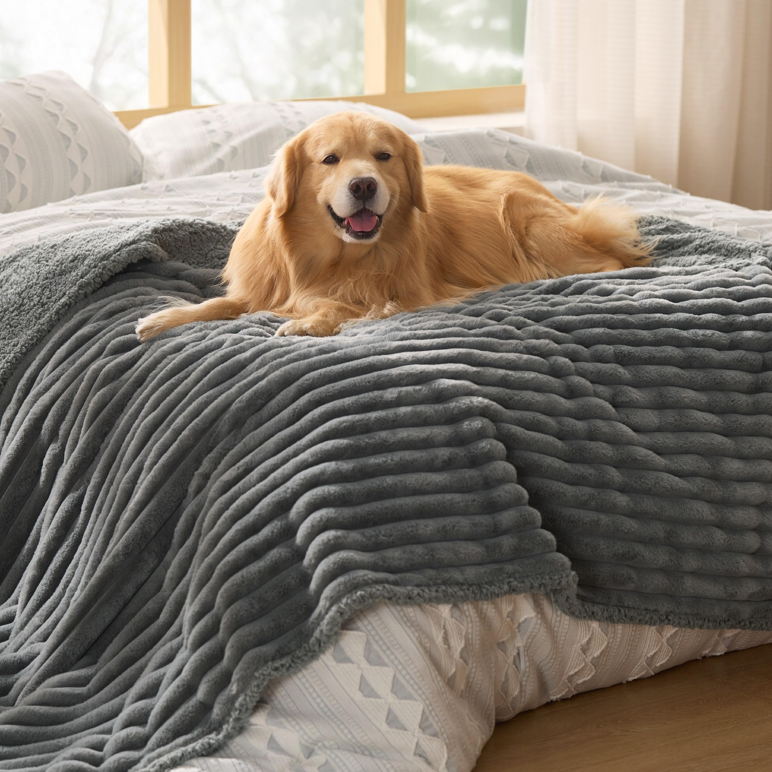 Waterproof Fleece Pet Blanket for Dogs and Cats